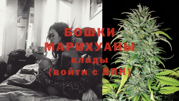 ГАЛЛЮЦИНОГЕННЫЕ ГРИБЫ Навашино