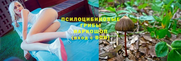амф Нефтекумск