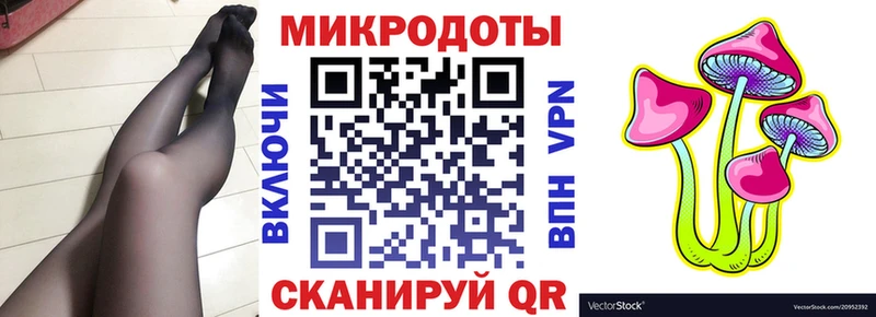 Галлюциногенные грибы мицелий  закладка  Кириллов 